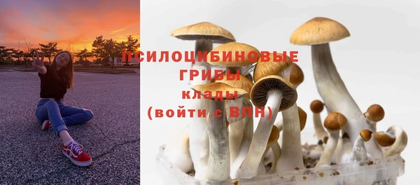 бутират Арсеньев