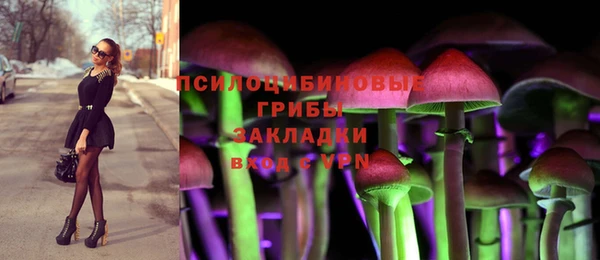 бутират Арсеньев