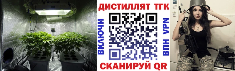 ТГК вейп с тгк  блэк спрут ССЫЛКА  Люберцы 