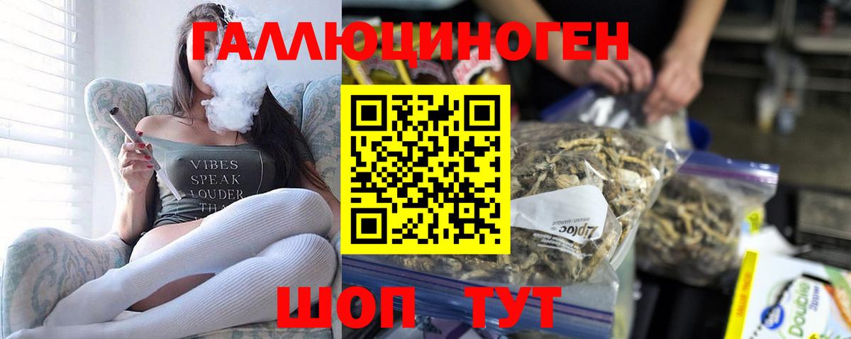 Люберцы  продажа наркотиков  Вход с VPN  Псилоцибиновые грибы GOLDEN TEACHER 